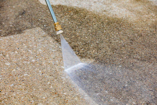 Best Roof Washing  in Cottonde, AL